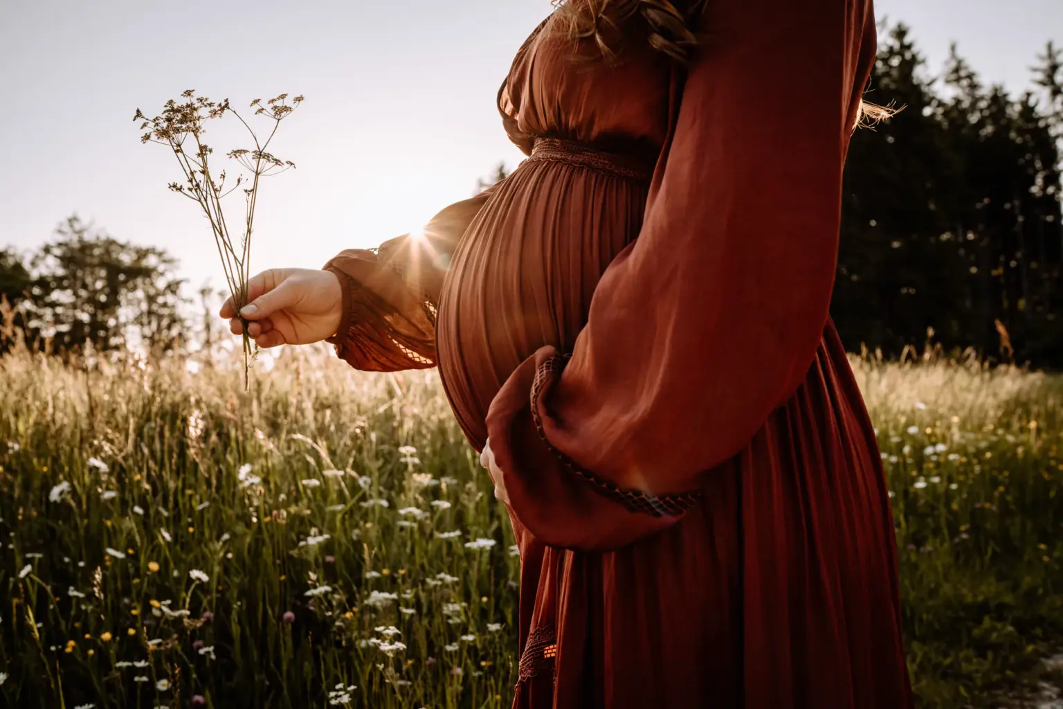 Wundervolles Abendlicht und ein schöner Babybauch in der Natur