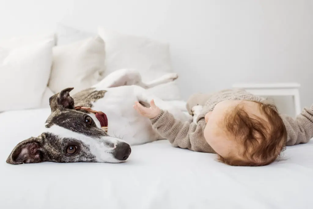 Baby liegt auf dem Rücken, Hund Frieda beobachtet, zuckersüßer Moment